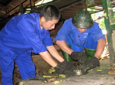 Công nhân Nhà máy giấy Yên Bình thực hiện nghiêm quy định sử dụng bảo hộ lao động trong ca sản xuất.