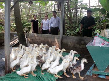 Nhân dân xã Sơn A phát triển kinh tế VAC cho thu nhập cao.
