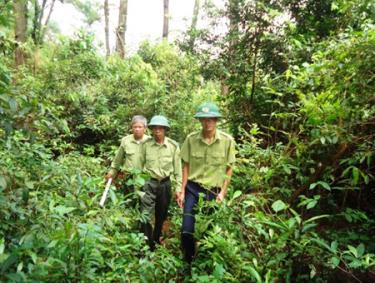 Lực lượng kiểm lâm tuần tra bảo vệ rừng. (Ảnh minh hoạ)