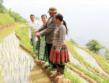 Những năm qua, Đảng bộ, chính quyền và nhân dân các dân tộc xã Làng Nhì luôn khắc sâu lời Bác dặn, nỗ lực, sáng tạo trong phát triển kinh tế, văn hóa, xã hội địa phương.