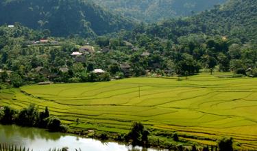 Trù phú bản làng ở xã Phong Dụ Hạ. Ảnh minh họa