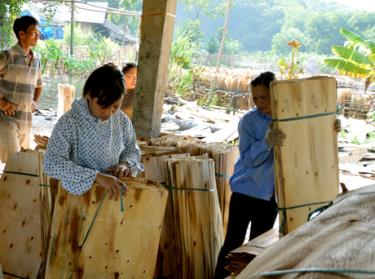 Sản xuất gỗ rừng trồng là một trong những sản phẩm chính. Ảnh MQ