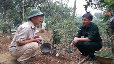 Cựu chiến binh Đậu Xuân Thi (bên trái) ở thôn Lưỡng Sơn, xã Văn Tiến giới thiệu về kỹ thuật trồng, chăm sóc hoa hồng.