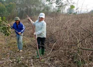 Có những diện tích đất chưa được thực hiện sang tên chuyển nhượng. Ảnh MQ