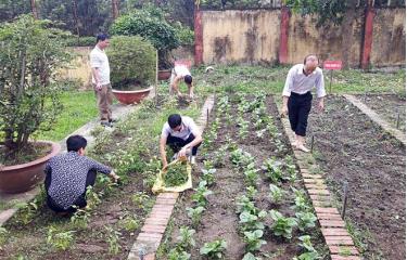 Cán bộ, đoàn viên CĐCS cơ quan Thanh tra tỉnh chăm sóc vườn rau tại cơ quan.