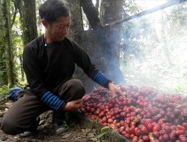 Ông Giàng A Dê luôn gương mẫu trong lao động, sản xuất.