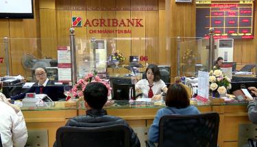 Agribank Chi nhánh tỉnh Yên Bái triển khai các gói hỗ trợ giúp các doanh nghiệp vượt qua khó khăn do ảnh hưởng của dịch bệnh Covid-19.