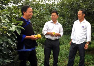 Anh Thào A Phổng ở bản Hua Khắt, xã Nậm Khắt giới thiệu với lãnh đạo xã về mô hình vườn cây ăn quả mới.