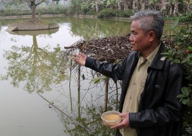 Thương binh Đỗ Trọng Thủy chăm sóc ao cá.