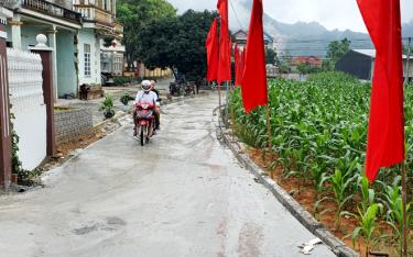 Tuyến đường bê tông 200m hoàn thành là công trình chào mừng cuộc bầu cử đại biểu Quốc m88 com khóa XV và đại biểu HĐND các cấp nhiệm kỳ 2021  - 2026 của thôn Trung Tâm, xã Mông Sơn.