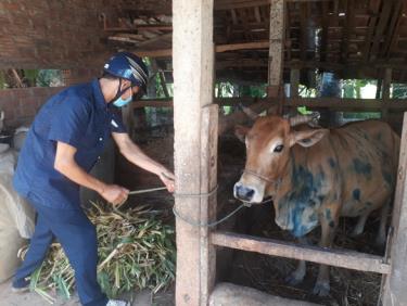 Cơ quan chức năng phun thuốc khử trùng chuồng trại cho người dân