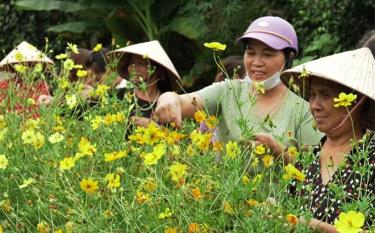 Mô hình đường hoa của Hội Phụ nữ xã Đại Minh, huyện Yên Bình.