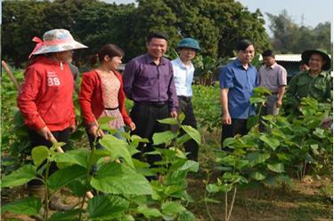 Lãnh đạo huyện Văn Chấn kiểm tra tình hình sản xuất tại cơ sở.
(Ảnh tư liệu).