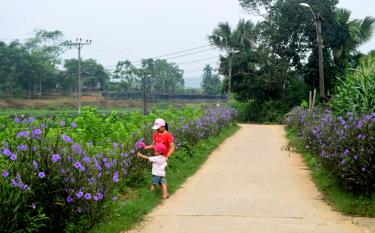 Cảnh quan môi trường xanh, sạch, đẹp ở xã Báo Đáp.