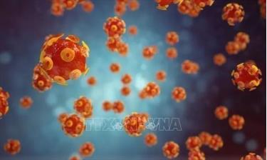 Hình ảnh mô phỏng virus gây bệnh viêm gan.