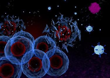 Virus Vaxinia có khả năng tiêu diệt tế bào ung thư lần đầu tiên được thử nghiệm trên người