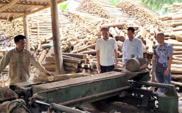 Thôn Tân Bình, xã Tân Hương, huyện Yên Bình hiện có 2 hợp tác xã, 6 tổ hợp tác hoạt động hiệu quả, mang lại việc làm và thu nhập ổn định cho trên 50 lao động địa phương.
