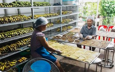 Ông Nguyễn Văn Quỳnh - Giám đốc Hợp tác xã Dịch vụ nông nghiệp Việt Thành, huyện Trấn Yên đã xây dựng thành công thương hiệu 