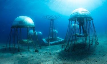 Khối cầu sinh quyển dùng để trồng cây ở vườn Nemo.