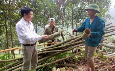 Lãnh đạo xã Kiên Thành trao đổi với người dân thôn Đồng Cát về tình hình phát triển cây quế tại địa phương.