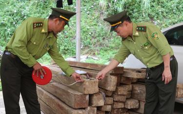 Anh Sùng A Rùa (trái) cùng đồng nghiệp kiểm đếm lâm sản tịch thu được do khai thác trái phép trên địa dafabet dang nhapn.