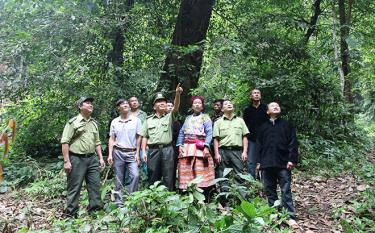 Cán bộ kiểm lâm huyện Văn Yên cùng với người dân tuần tra, kiểm soát rừng tại Khu bảo tồn thiên nhiên Nà Hẩu.
