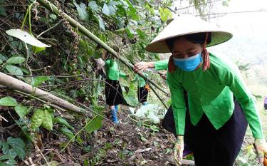 Huyện Lục Yên đang duy trì 185 tổ, đội phòng cháy chữa cháy rừng ở các thôn, tổ dân phố với trên 1.300 người.