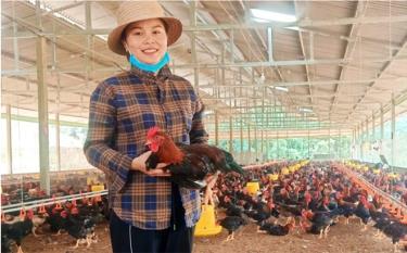 Chị Lê Thuý Thuận, xã Quý Mông, huyện Trấn Yên, thành công với việc khởi nghiệp trang trại gà sạch