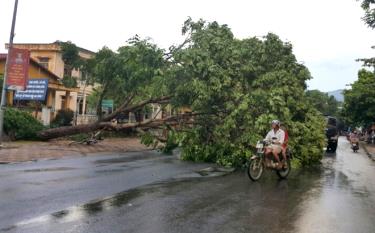 Người dân cần chú ý phòng tránh khi dông, lốc xảy ra. (Ảnh: minh họa)