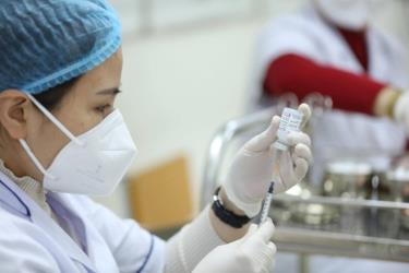 Vaccine phòng Covid-19 trong năm 2023 vẫn được tiêm miễn phí cho người dân.
