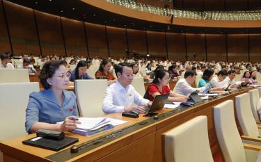 Đoàn đại biểu Quốc hội tỉnh Yên Bái tại kỳ họp.