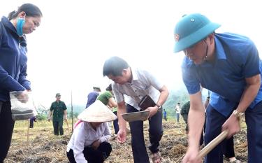 Lãnh đạo xã Phong Dụ Hạ cùng nhân dân ra quân sản xuất vụ đông.