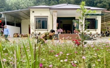 Ngày càng nhiều hộ gia đình trên địa bàn tỉnh quan tâm tạo cảnh quan xanh, sạch, đẹp để nâng cao chất lượng cuộc sống.