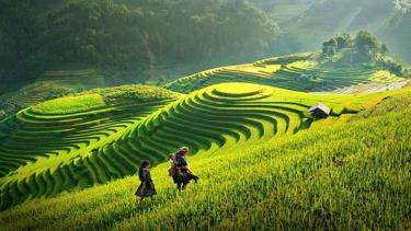 Tổ chức điều tra tài nguyên du lịch nhằm hướng đến hình thành hệ thống cơ sở dữ liệu tài nguyên du lịch
