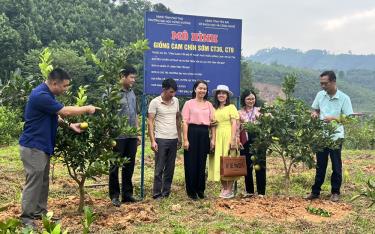 Đại diện Trường Đại học Hùng Vương, tỉnh Phú Thọ cùng Sở Khoa học và Công nghệ tỉnh Yên Bái kiểm tra kết quả thực hiện Dự án tại xã Hưng Thịnh, huyện Trấn Yên