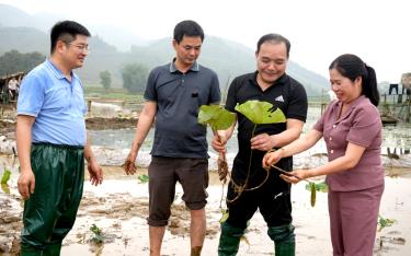 Lãnh đạo huyện Trấn Yên tham gia 