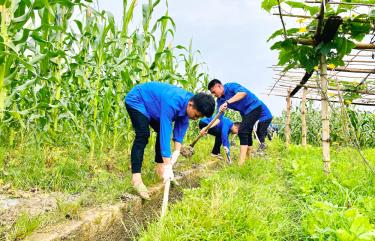 Tuổi trẻ thị xã Nghĩa Lộ tham gia nạo vét kênh mương nội đồng, đảm bảo nước tưới tiêu tại cánh đồng thôn 2, xã Nghĩa Lộ.