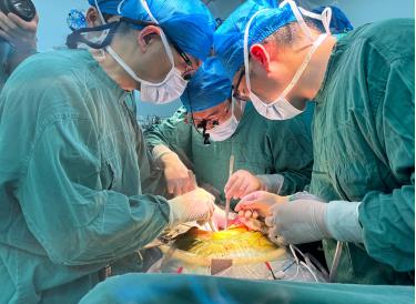 Các bác sĩ phẫu thuật ghép gan lợn cho bệnh nhân 71 tuổi vào ngày 17/5. Ảnh: Bệnh viện Liên kết Số một thuộc Đại học Y An Huy