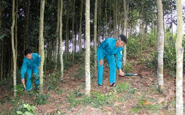 Ban CHQS xã Tân Hương tham gia hỗ trợ cán bộ, chiến sĩ dân quân tự vệ phát triển kinh tế gia đình.