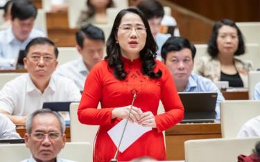 ĐBQH Nguyễn Thị Thủy - Đoàn ĐBQH tỉnh Bắc Kạn.