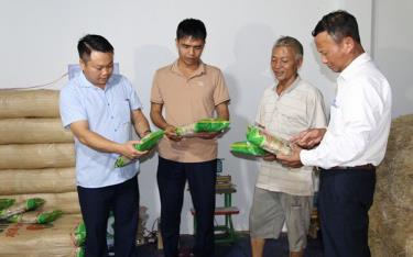 Được sự hỗ trợ kỹ thuật và vốn của Dự án, mô hình Hợp tác xã Khởi nghiệp xanh sản xuất miến đao Tráng Thái của chị Đinh Kiều Anh, xã Quy Mông mang lại hiệu quả cao.