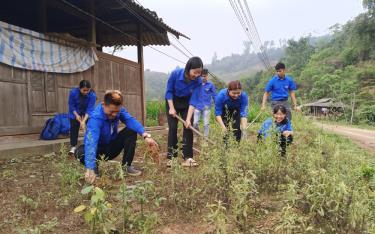 Đoàn viên thanh niên huyện Văn Yên tham gia dọn dẹp vệ sinh môi trường trên địa bàn.