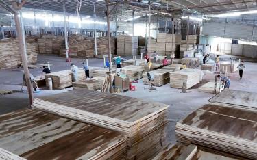 Production at JUNMA Yen Bai joint Stock Company.