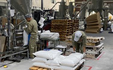 Công nhân Công ty cổ phần An Tiến Industries, Khu Công nghiệp phía Nam sản xuất hạt nhựa xuất khẩu.