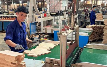Công nhân Doanh nghiệp tư nhân Đăng Khoa (Trấn Yên) chế biến gỗ rừng trồng.