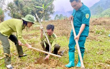 Hạt Kiểm lâm tăng cường bám sát địa bàn, hỗ trợ người dân kỹ thuật chăm sóc rừng trồng, đẩy mạnh công tác cấp chứng chỉ rừng bền vững.