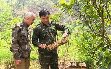 Nghề nuội ong lấy mật đem lại nguồn thu đáng kể cho nhiều gia đình.