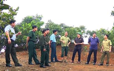 Mô hình kinh tế tổng hợp của gia đình cựu chiến binh Hà Ngọc Xô ở xã Giới Phiên, thành phố Yên Bái.
