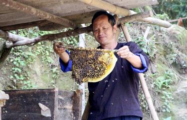 Người dân xã Kim Nọi kiểm tra chất lượng mật ong.