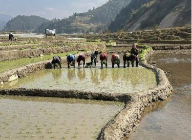 Địa điểm bố trí quỹ đất sản xuất phải đảm bảo khoảng cách không quá xa nơi sinh sống của người dân, giúp thuận lợi cho việc canh tác và sản xuất nông nghiệp.